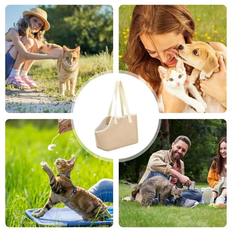 ขายปลีกสุนัข Carrier กระเป๋าสั - Foldable Backpack Small บทวิจารณ์และราคา